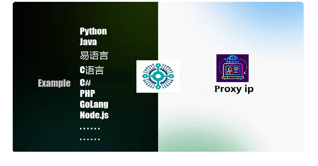 CodeproxyIP